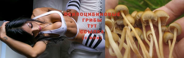 скорость Богданович
