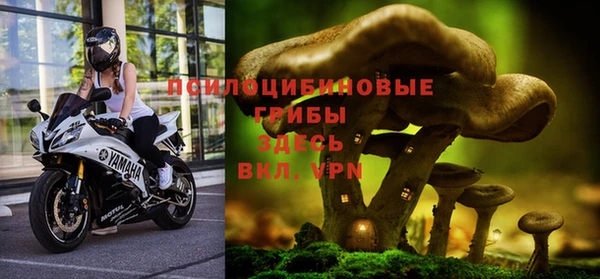 прущие крисы Богородск