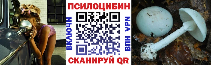 Купить закладки  Поворино  Галлюциногенные грибы прущие грибы 