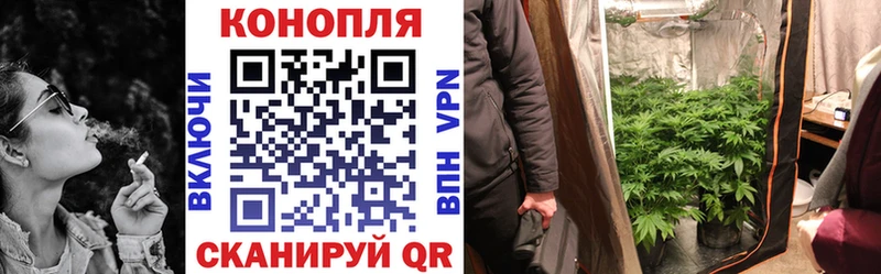 Купить  Поворино  Канабис тримм 